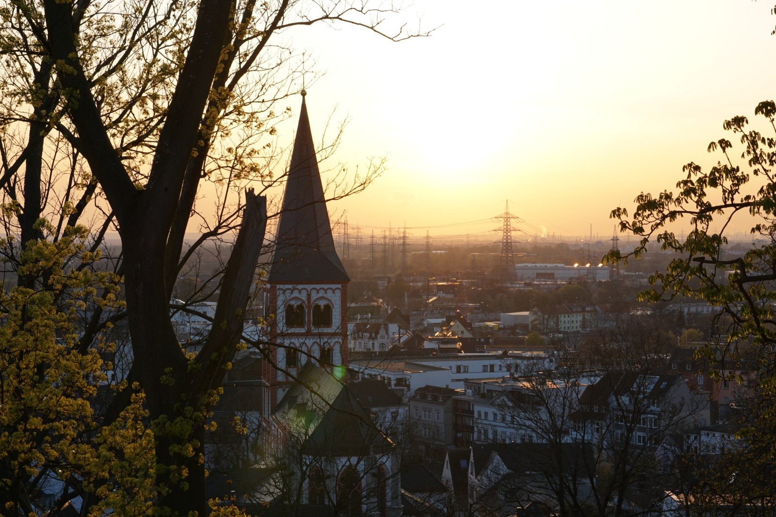 DSC04480 (c) Die Messdiener-Leiterrunde St.Servatius